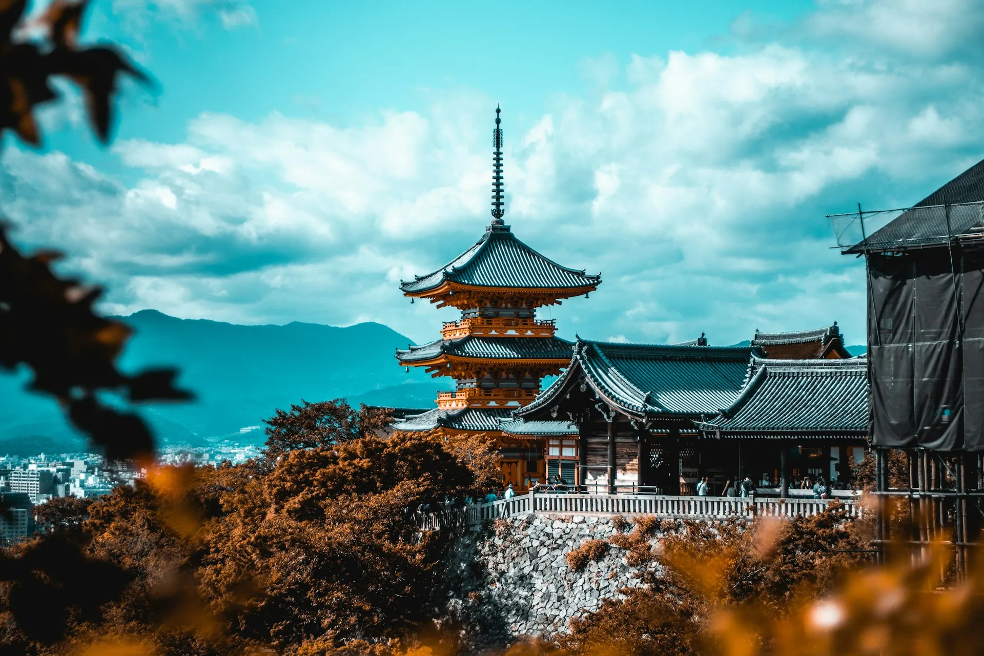 寿司