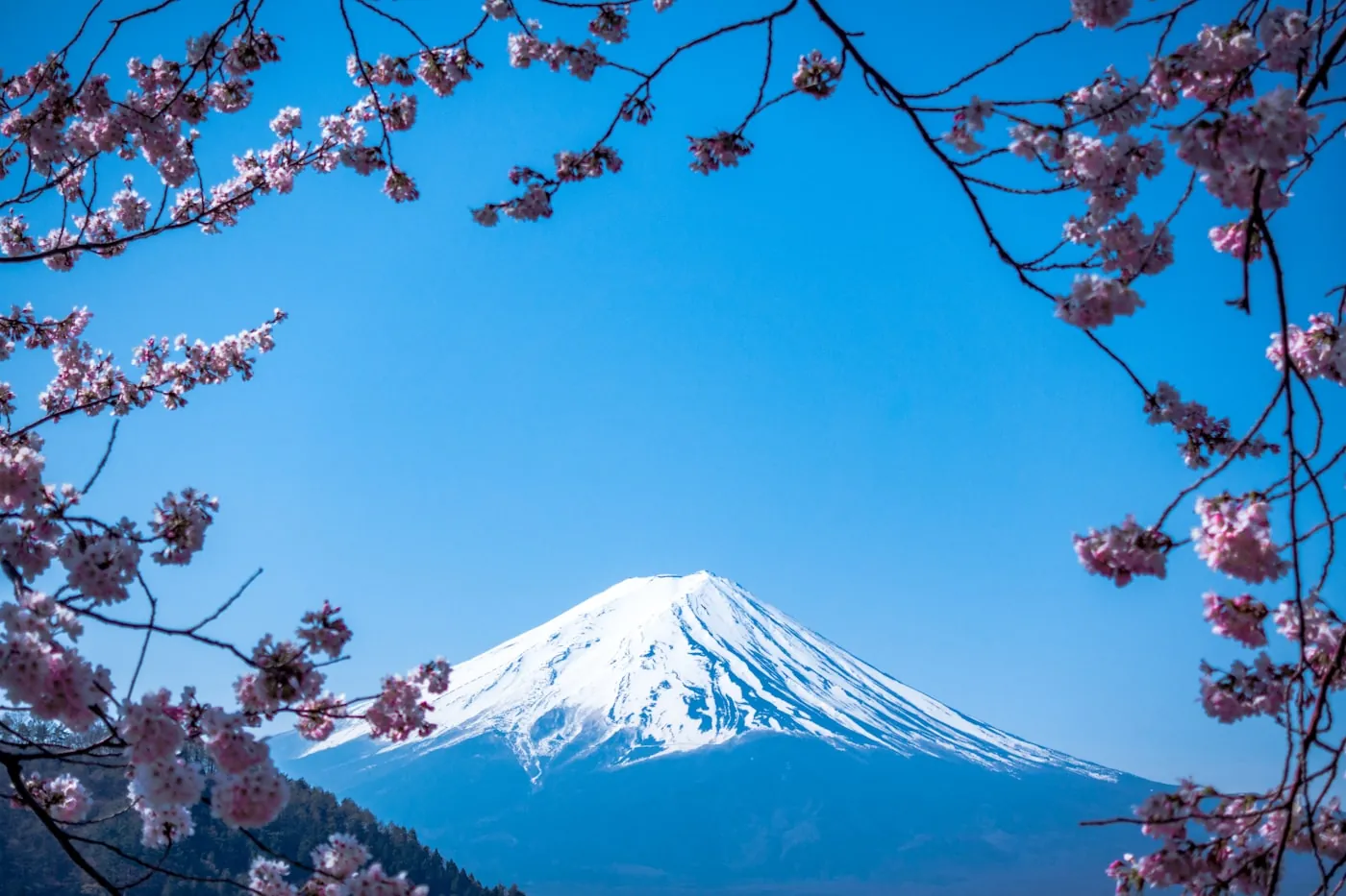 富士山と日本の風景